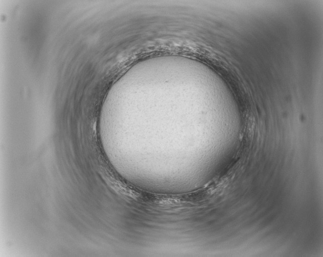 X0000054471489200508191714