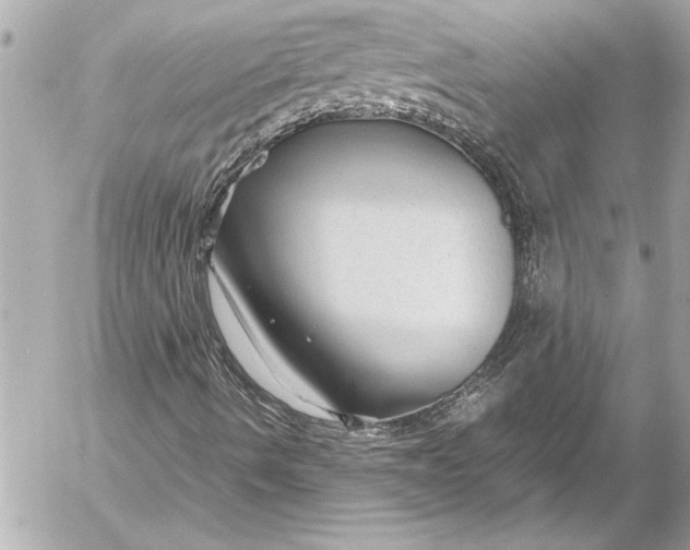 X0000054471490200508191714