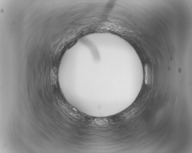 X0000054471491200508191714