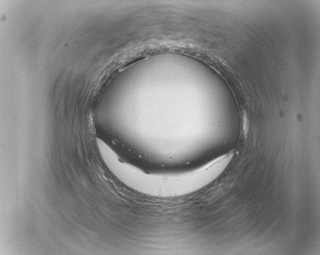 X0000054471492200508191714