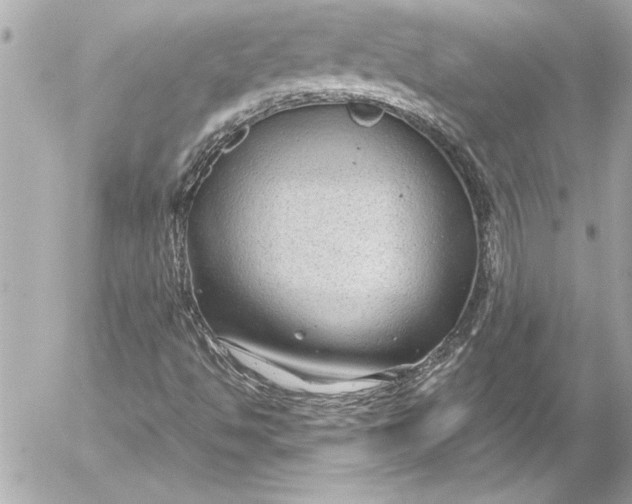 X0000054471494200508191714