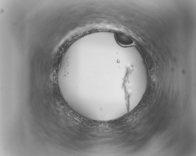 X0000054471495200508191714