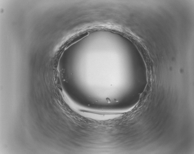 X0000054471496200508191714