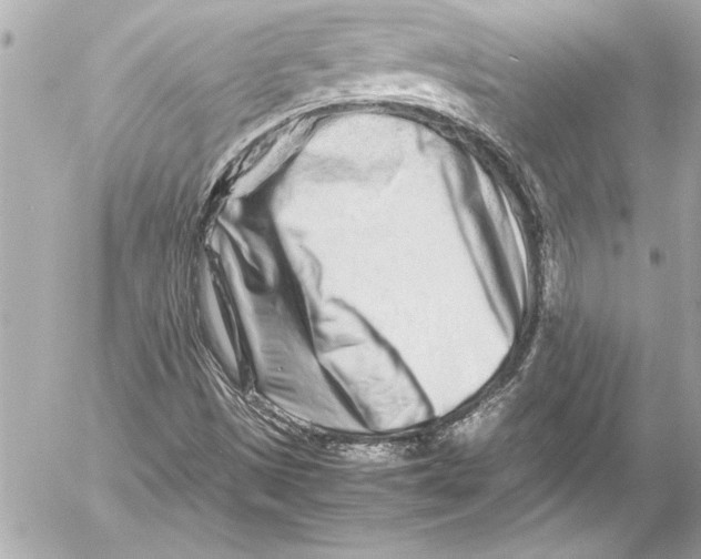 X0000054471497200508191714