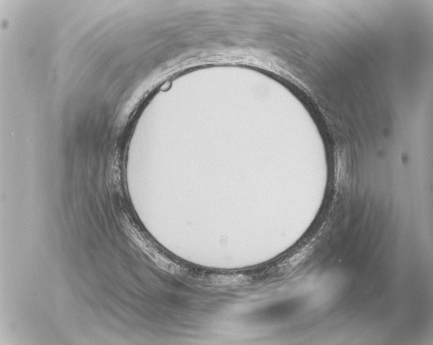 X0000054471498200508191714