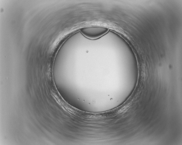 X0000054471499200508191714