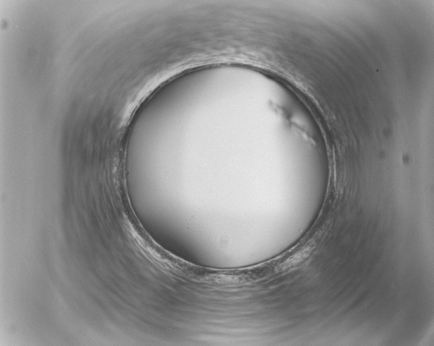 X0000054471500200508191714