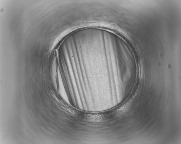 X0000054471501200508191714