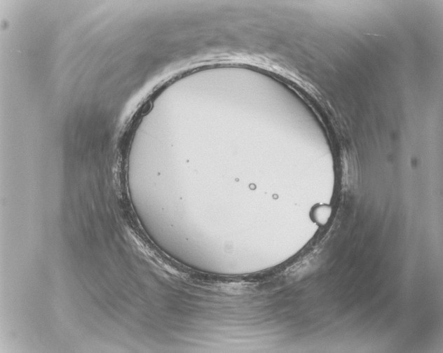 X0000054471502200508191714