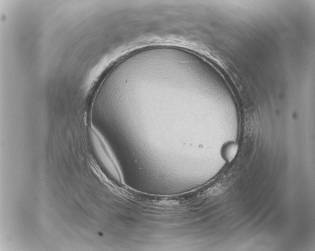 X0000054471503200508191714