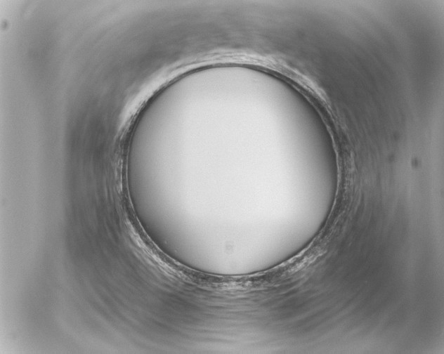 X0000054471504200508191714