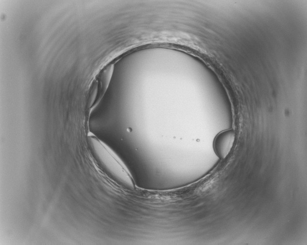 X0000054471505200508191714