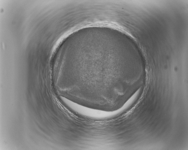 X0000054471506200508191714