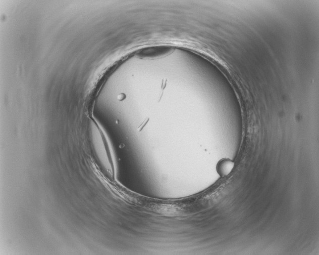 X0000054471507200508191714