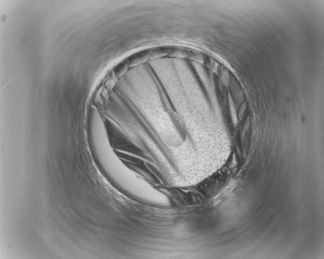 X0000054471508200508191714