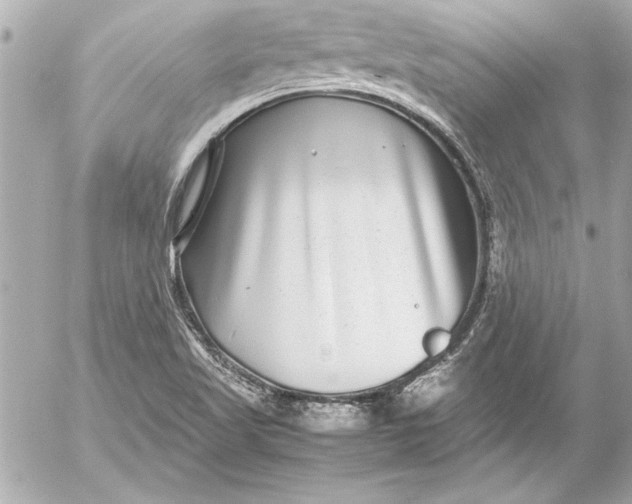 X0000054471509200508191714