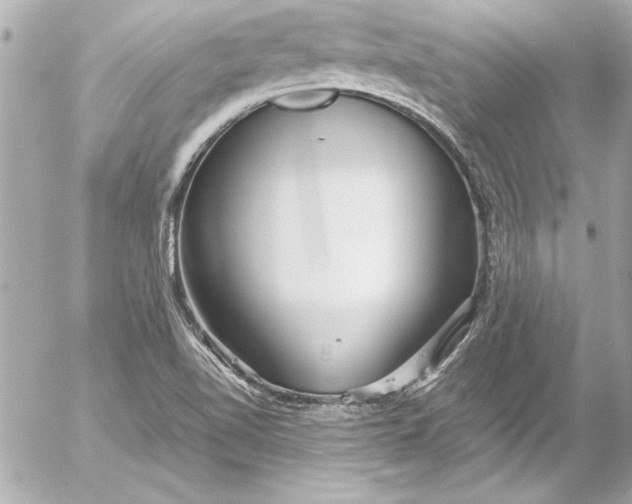 X0000054471510200508191714