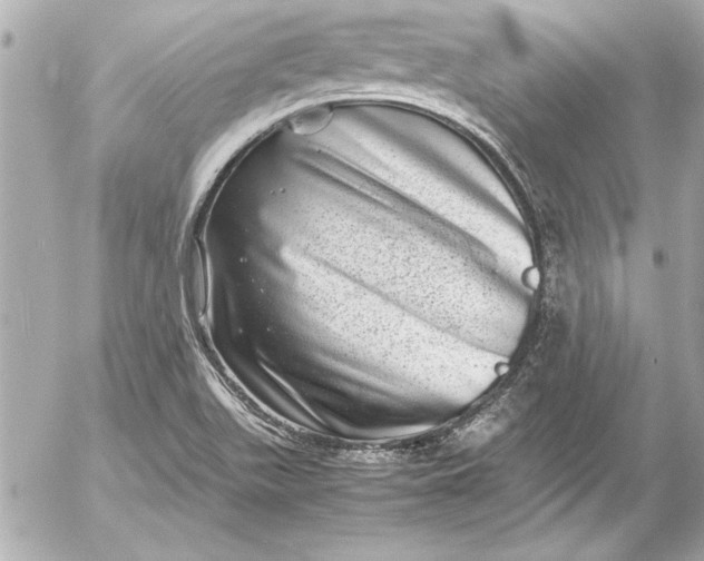 X0000054471511200508191714