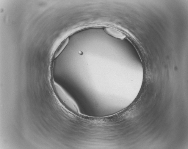 X0000054471512200508191714