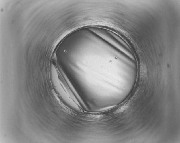 X0000054471513200508191715