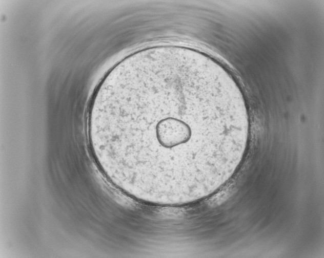 X0000054471514200508191715