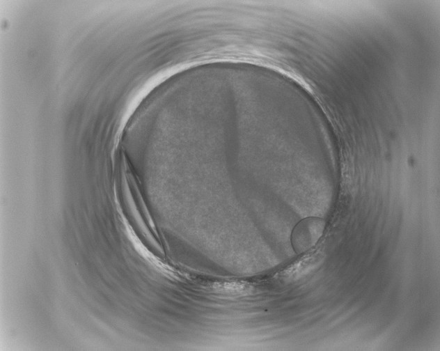 X0000054471515200508191715