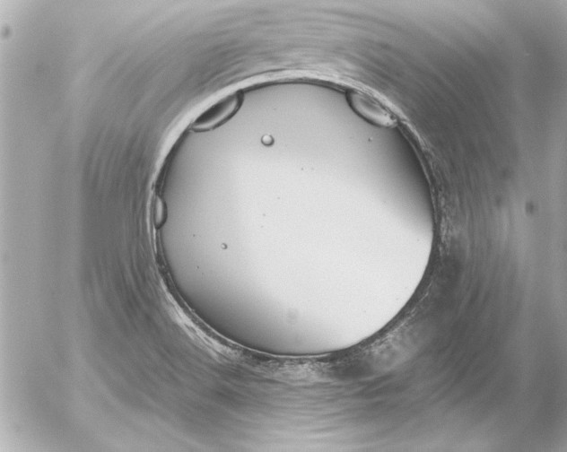 X0000054471516200508191715