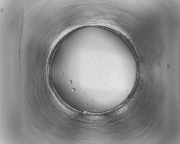 X0000054471517200508191715