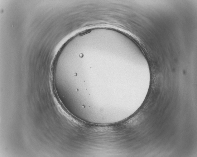 X0000054471518200508191715