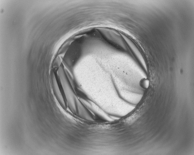 X0000054471519200508191715