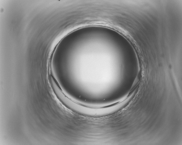 X0000054471520200508191715