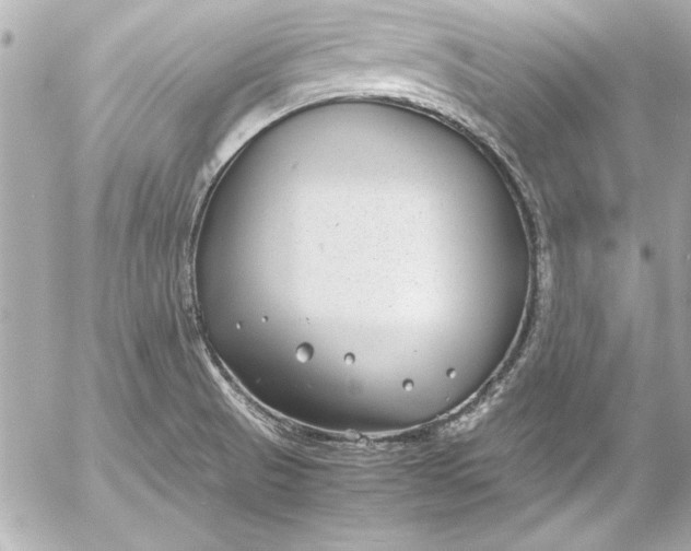 X0000054471521200508191715