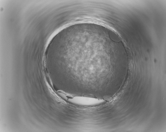 X0000054471522200508191715