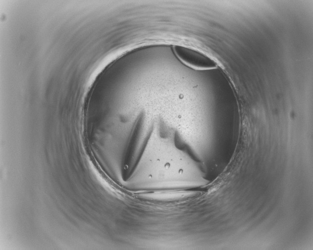 X0000054471523200508191715