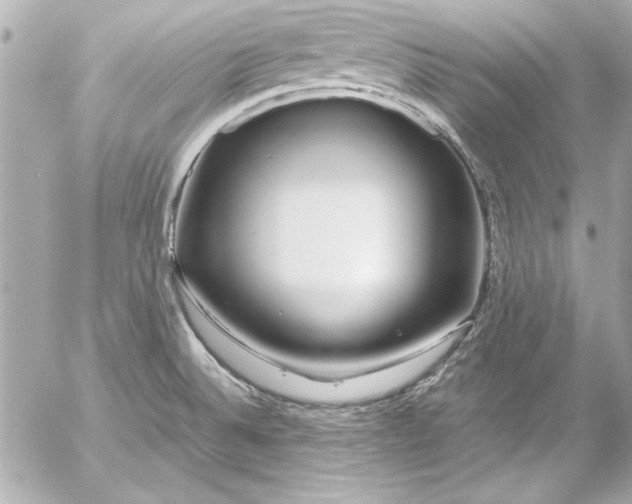 X0000054471524200508191715