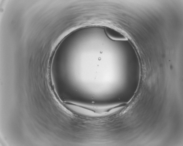 X0000054471525200508191715