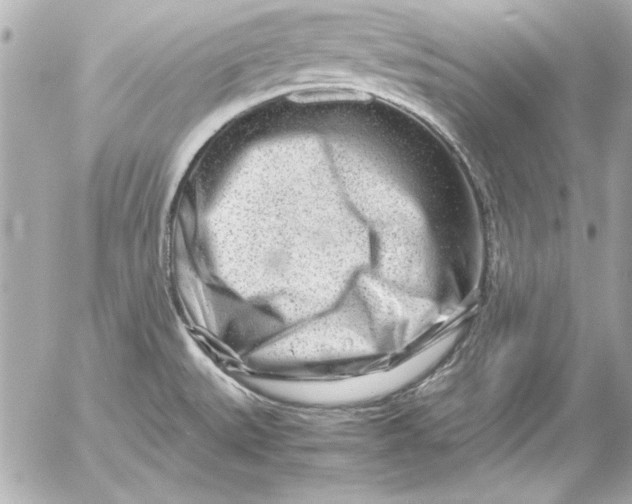 X0000054471527200508191715