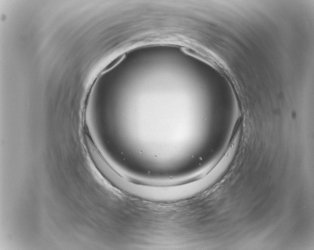 X0000054471528200508191715