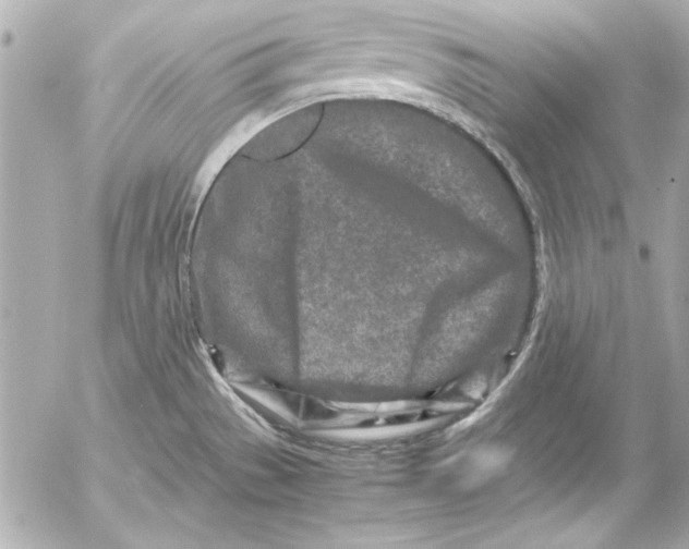 X0000054471529200508191715