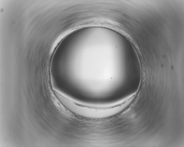 X0000054471530200508191715