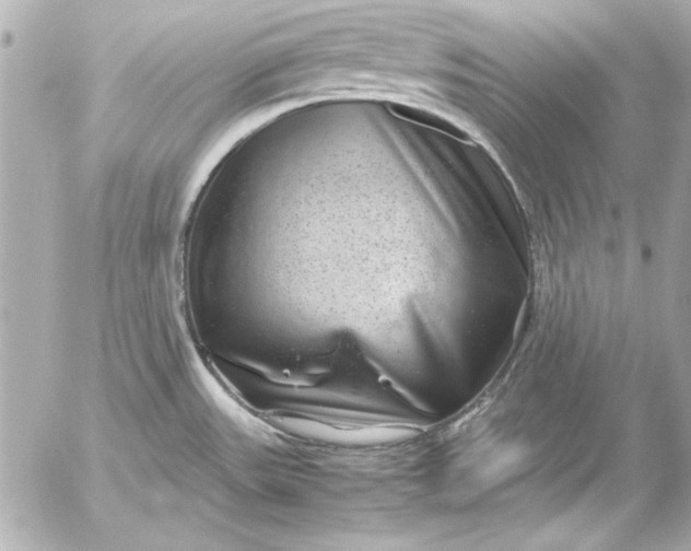 X0000054471531200508191715