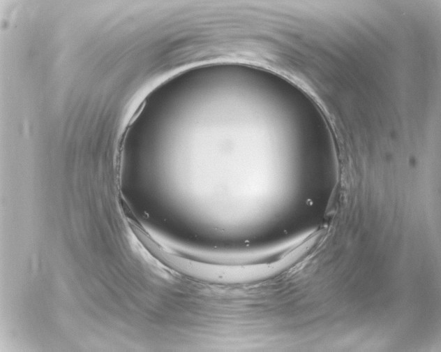 X0000054471532200508191715