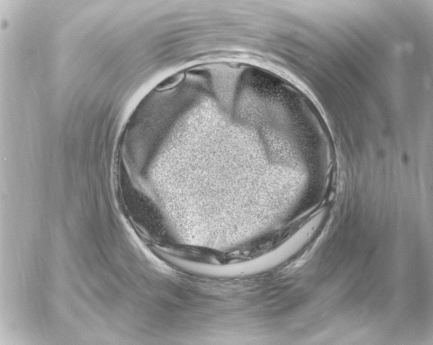 X0000054471533200508191715