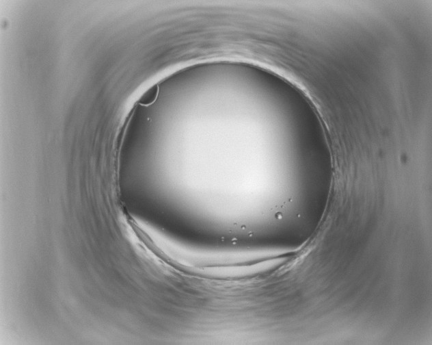 X0000054471534200508191715