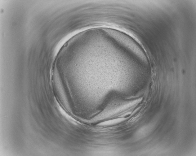 X0000054471535200508191715