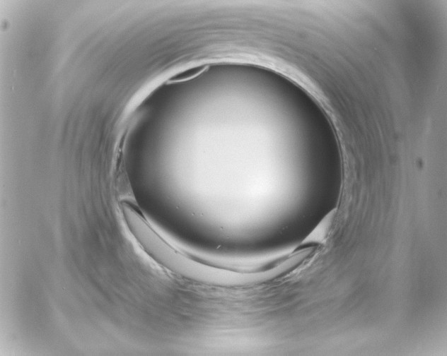 X0000054471536200508191715