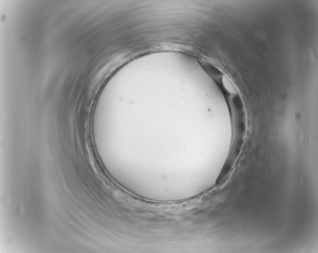 X0000054470001200508270141