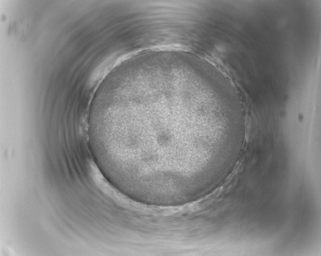 X0000054470002200508270141