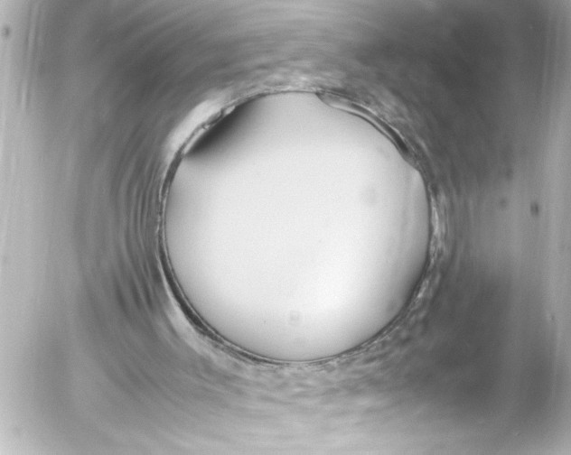 X0000054470003200508270141