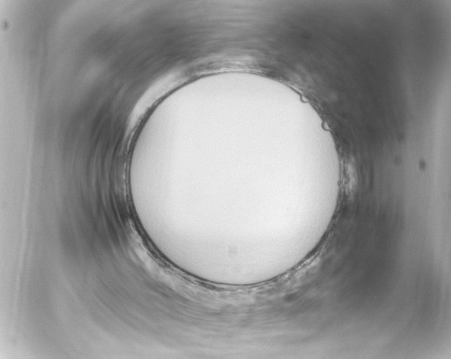 X0000054470004200508270141